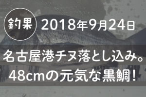 【2018年釣果】9月24日名古屋港チヌ落とし込み。48cmの元気な黒鯛！