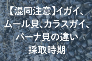 【混同注意】イガイ、ムール貝、カラスガイ、パーナ貝の違い・採取時期