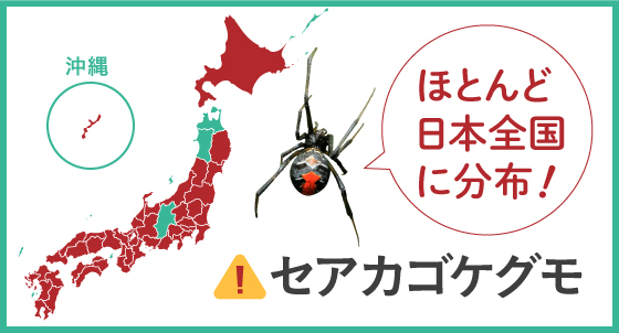 セアカゴケグモの日本分布